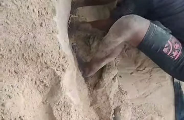 Police Inspector Allegedly Kills Nephew Over ₦60,000 In Jalingo