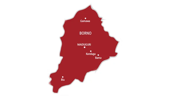 Bomb explosion kills four teenagers in Borno